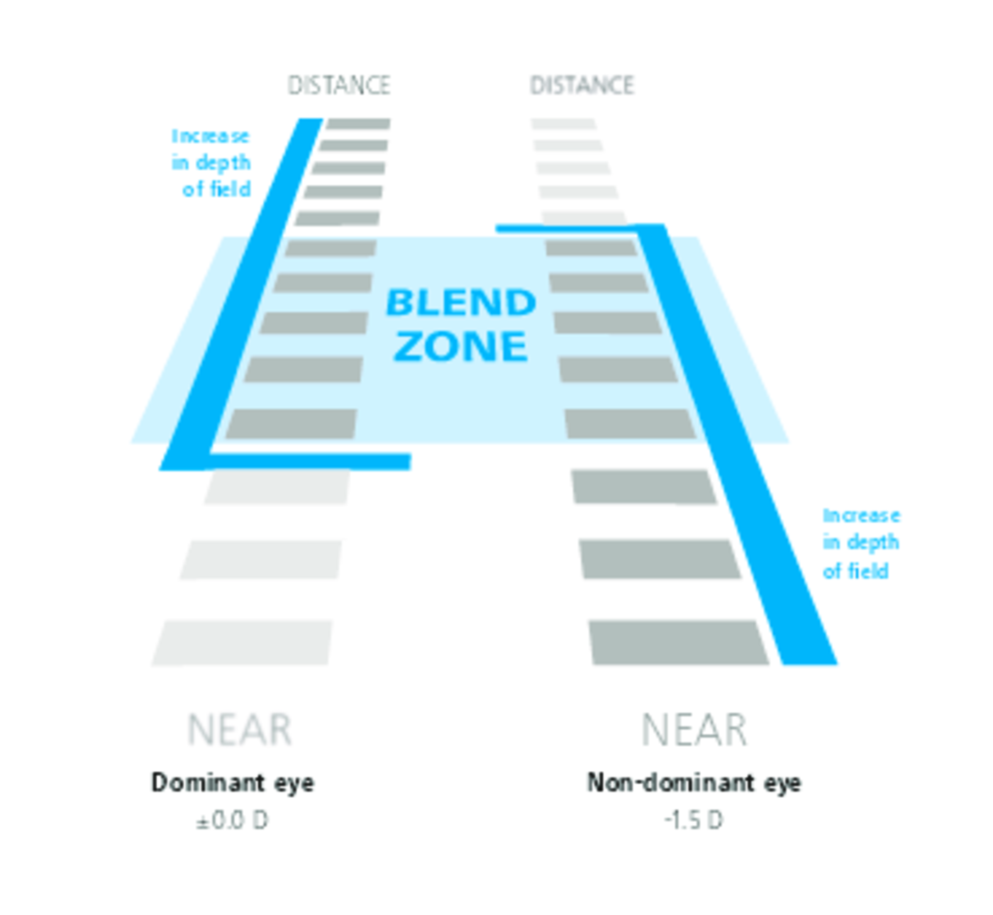 PRESBYOND_Blendzone (med-zoom)